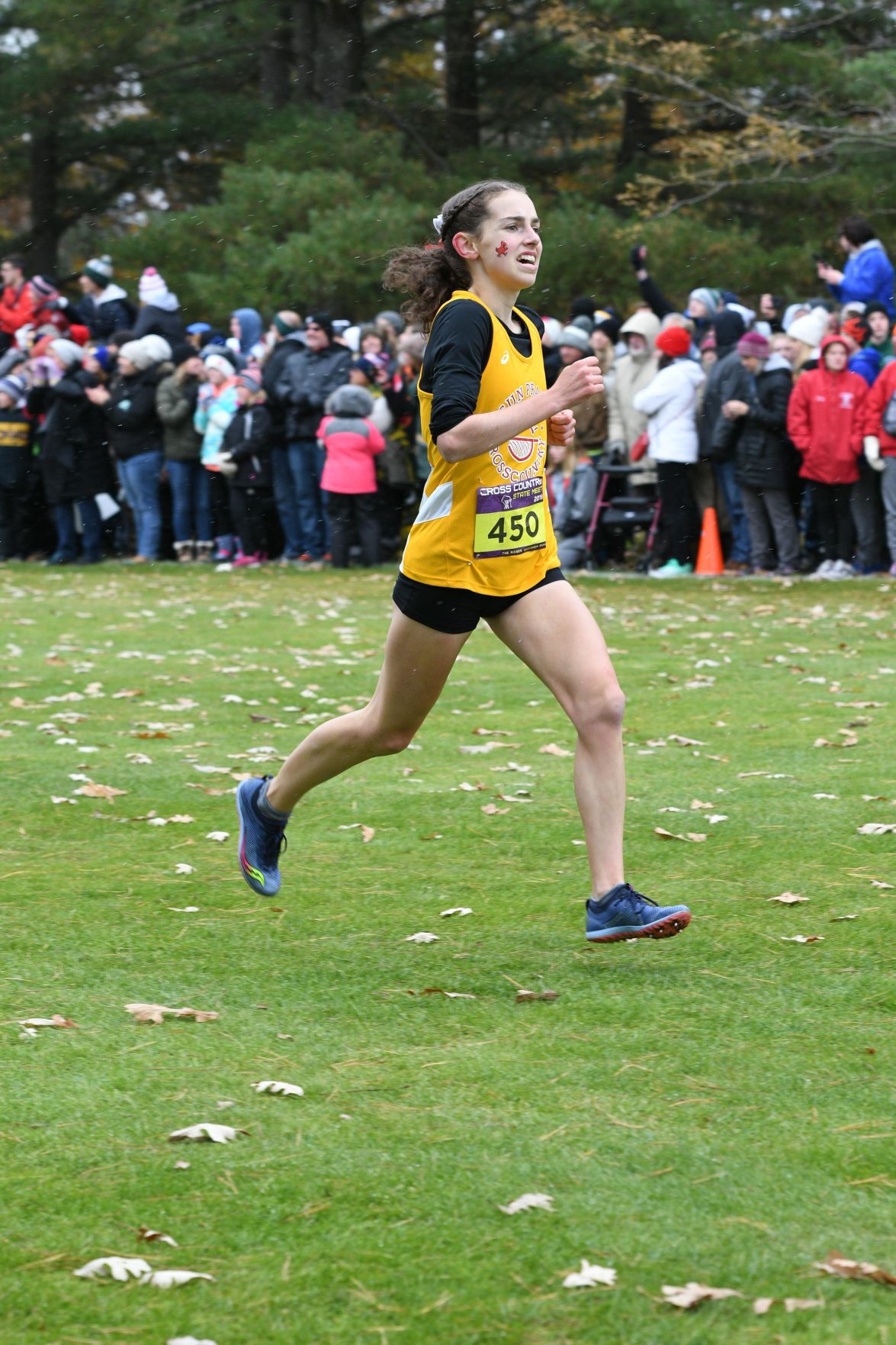 WIAA state cross country photo: Dani Thompson, Sun Prairie